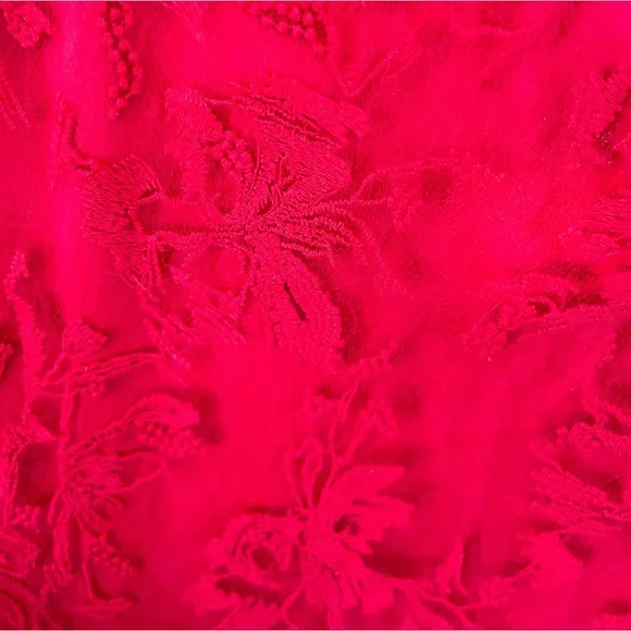 Tadashi Shoji Red Embroidered Lace Sheath Dress - Picture 6 of 6